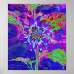 Affiche Tournesol bleu violet Abstrait   rétro amusant fun