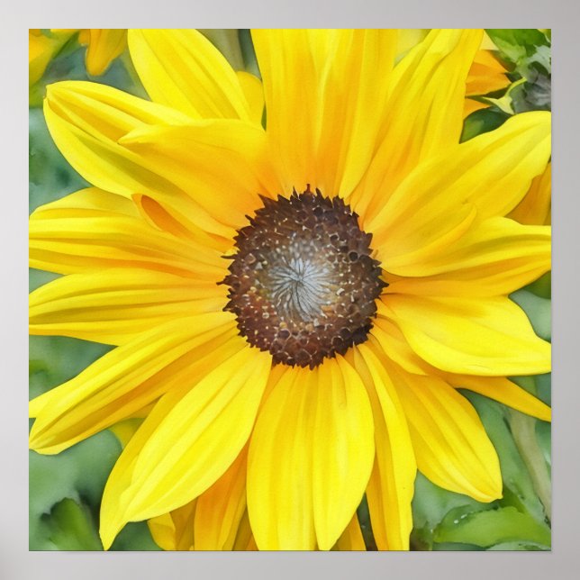 Affiche Tournesol brillant Gros plan (Devant)