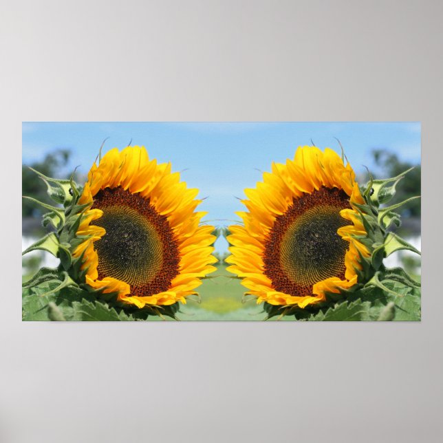Affiche Tournesol En Miroir Soleil Abstrait (Devant)