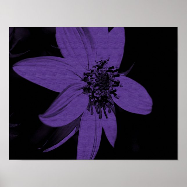 Affiche Tournesol Fleur Violet Abstrait (Devant)
