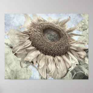 Affiche Tournesol géant Jaune Pastel Chic Vintage Antique