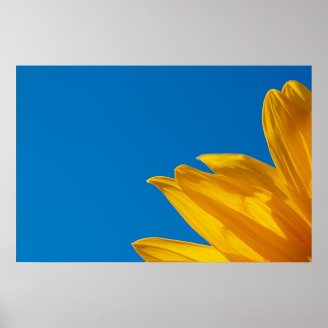 Affiche Tournesol Jaune & Ciel Azur (Devant)