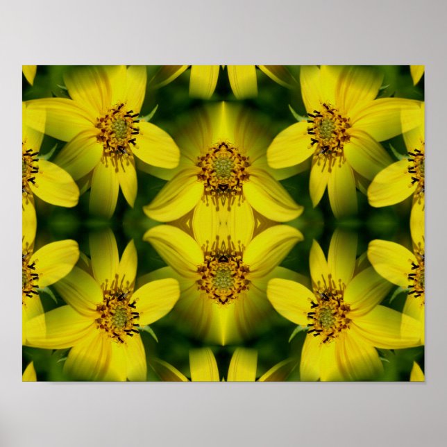 Affiche Tournesol Maximillian Abstrait         (Devant)