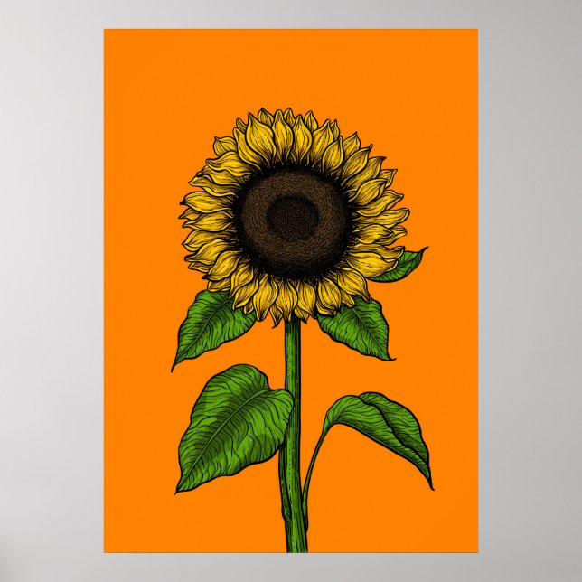 Affiche Tournesol orange (Devant)