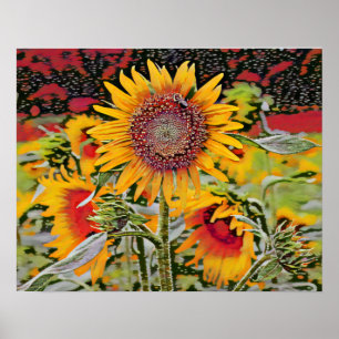Affiche Tournesol rose
