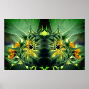 Affiche Tournesol se dépliant miroir Abstrait