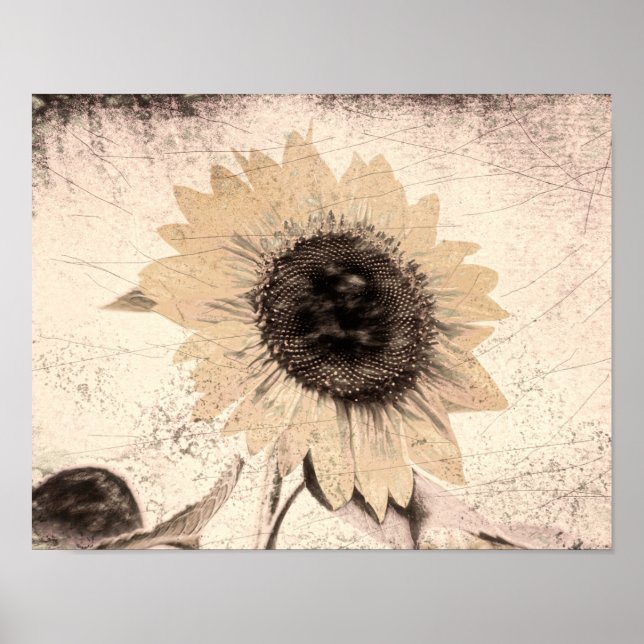 Affiche Tournesol Vintage géant Sepia Brown Yellow Texture (Devant)
