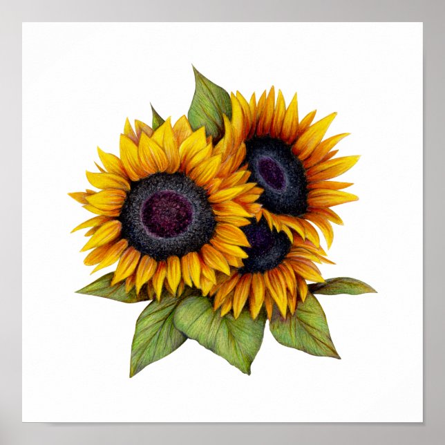 Affiche Tournesols (Devant)