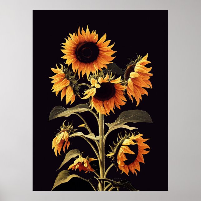 AFFICHE TOURNESOLS AVEC FEUILLES VERTES SUR FOND NOIR (Devant)