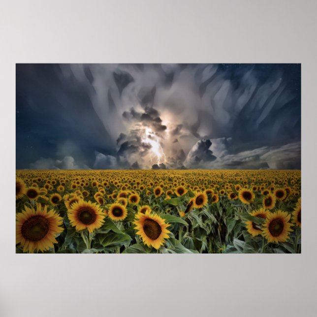 Affiche Tournesols Dans Une Tempête (Devant)