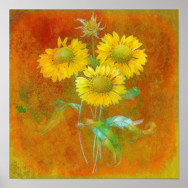 Affiche Tournesols peints doux (Devant)