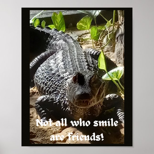 Affiche Tous ceux qui sourient ne sont pas l'inspiration d (Devant)