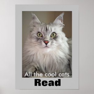 Affiche Tous les chats Cool Lire (Poster de l'alphabétisat