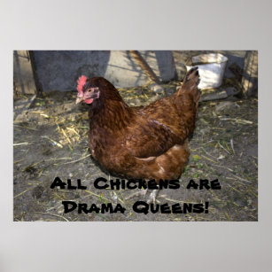 Affiche Tous les poulets sont des reines dramatiques !