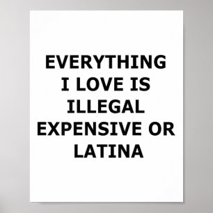 Affiche Tout ce que j'aime est illégal, cher ou latino (