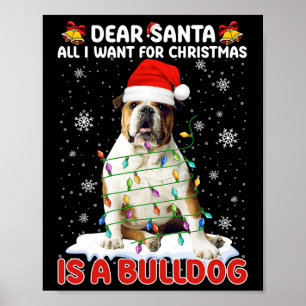 Affiche Tout Ce Que Je Veux Pour Noël C'Est Le Chien De Ch