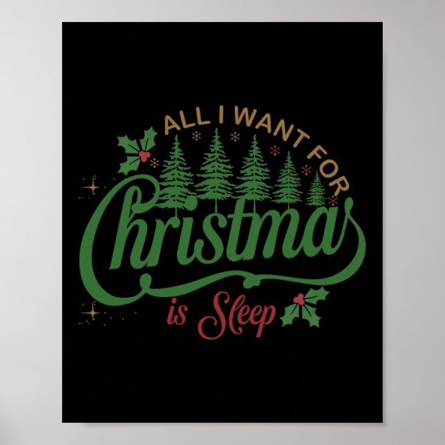 Affiche Tout Ce Que Je Veux Pour Noël Est Un Sommeil Amusa (Devant)
