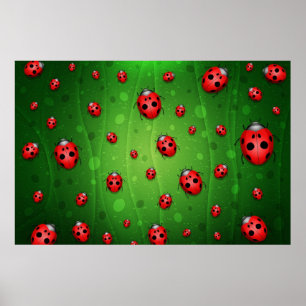 Affiche Tout est plein de coccinelles