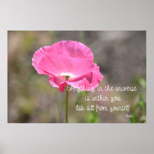 Affiche Tout le pavot