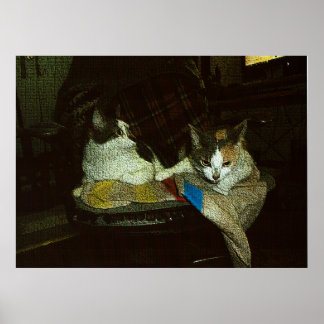 Affiche Tout m'appartient