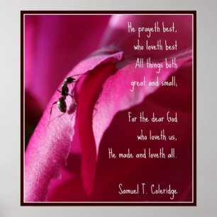 Affiche Toutes les créatures grandes et petites