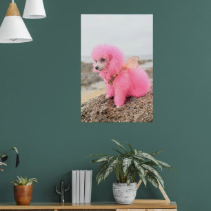 AFFICHE TOUTOU CANICHE ROSE JOUET SUR LA PLAGE