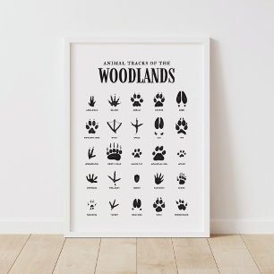 Affiche Traces d'animaux Décor de pépinière de bois