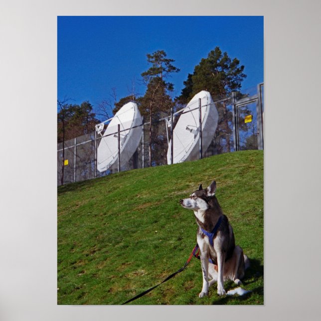 Affiche Tracker dog (Devant)