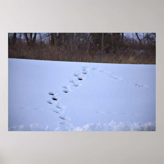 Affiche Tracks in the Snow (Devant)