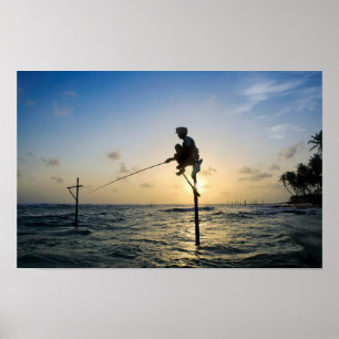 Affiche Tradition intemporelle : Pêcheur Sri Lanka Stilt