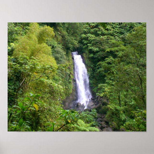 Affiche Trafalgar Falls, Dominique, Antilles (Devant)