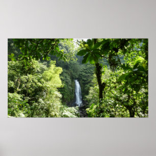 Affiche Trafalgar Falls Tropical Rainforest Photographie