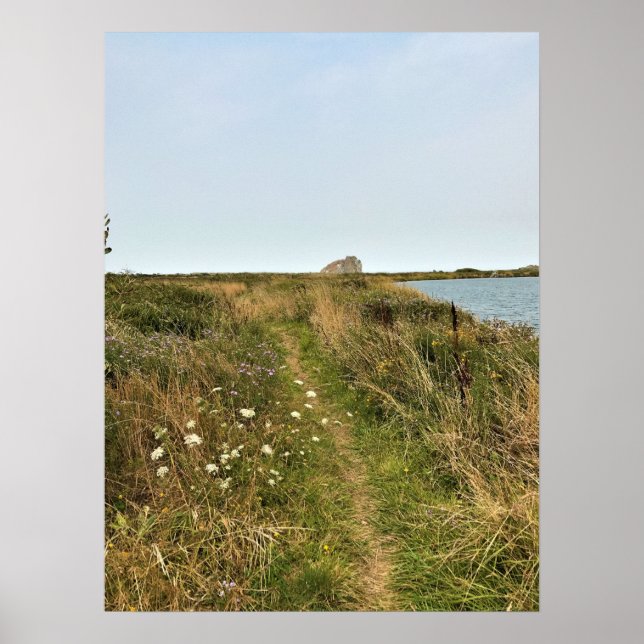 Affiche Trail at Cape Blanco (Devant)