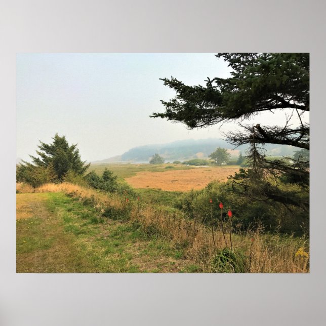 Affiche Trail at Cape Blanco (Devant)
