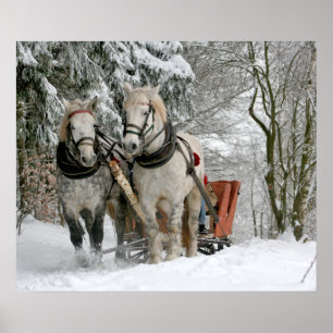 Affiche traîneau+randonnée,neige,forêt,cheval,hiver,blanc,