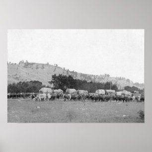 Affiche Trains de boeuf entre Sturgis et bois mort