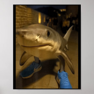 Affiche Tralalero tralala requin mème 