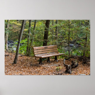 Affiche Tranquil Forest Bench in Autumn