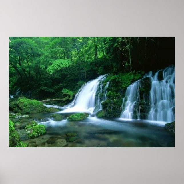 Affiche Tranquil Waterfall (Devant)