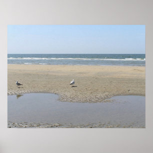 Affiche Tranquilité