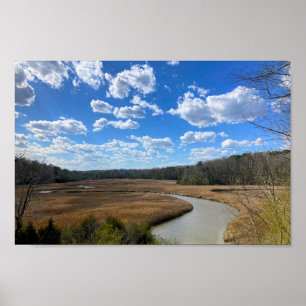 Affiche Tranquille Marécage Wetland Yorktown Virginie