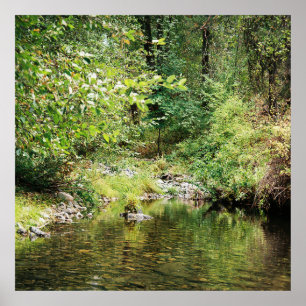 Affiche Tranquillité dans les bois......