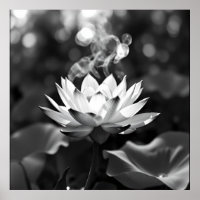 Tranquillité florissante : Lotus Charcoal Art