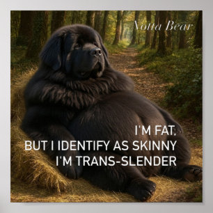 Affiche Trans-mince