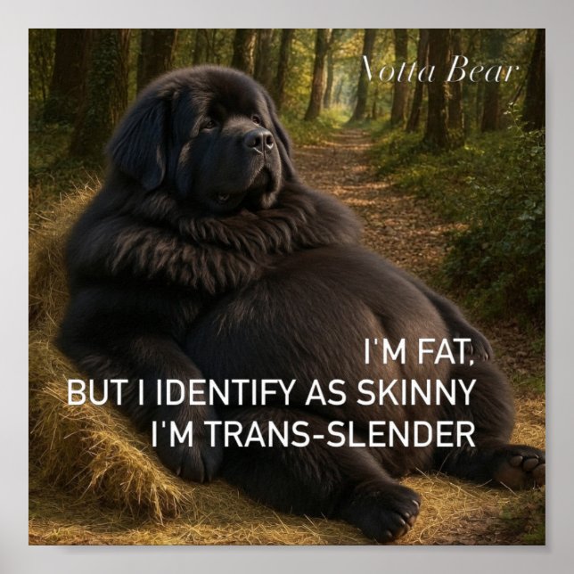 Affiche Trans-mince  (Devant)