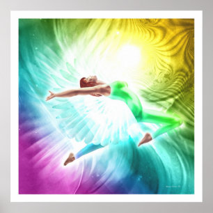 Affiche Transformation : Vol