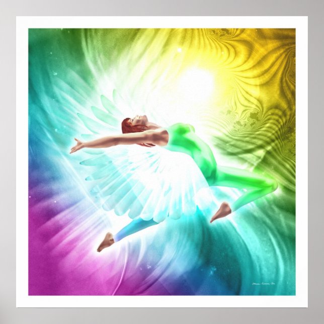 Affiche Transformation : Vol (Devant)