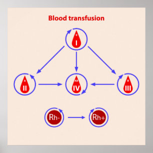 Affiche transfusion sanguine infographic