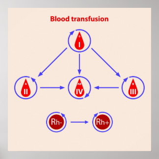 Affiche transfusion sanguine infographique
