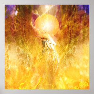 Affiche TRANSMUTATION D'Oiseaux De Feu Phoenix